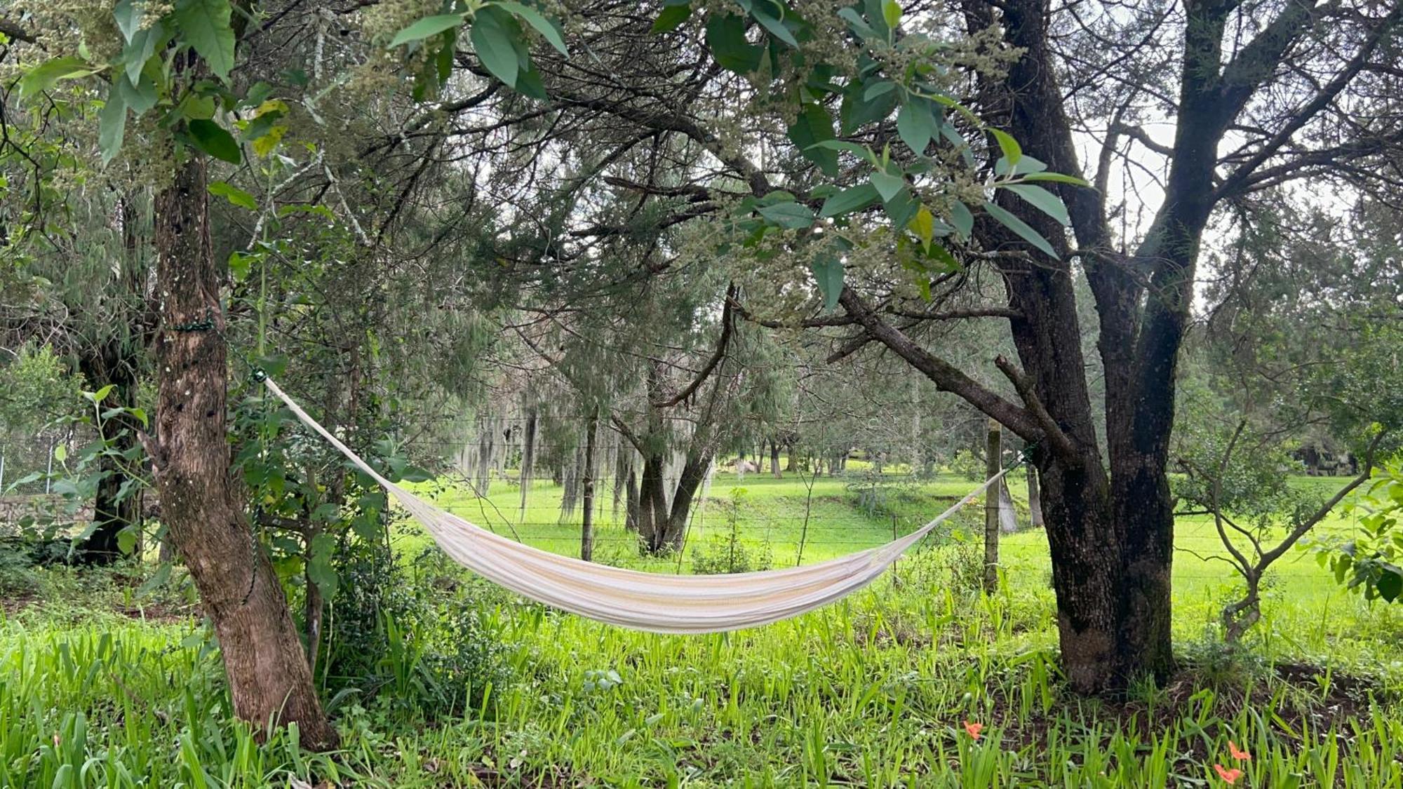 Cabanas La Victoria By Gestores Huasca de Ocampo Zewnętrze zdjęcie